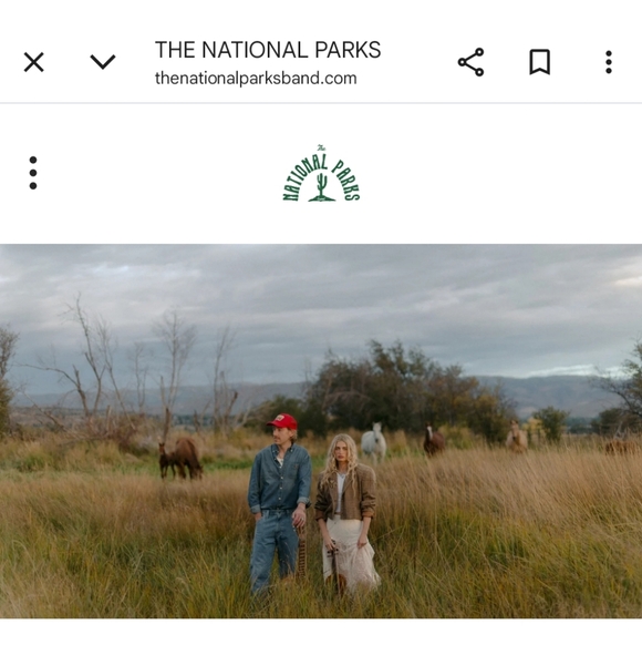 The National Parks Band Souvenir Hoodie - Picture 9 of 9